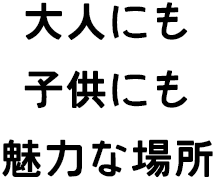 大人にも子供にも魅力な場所
